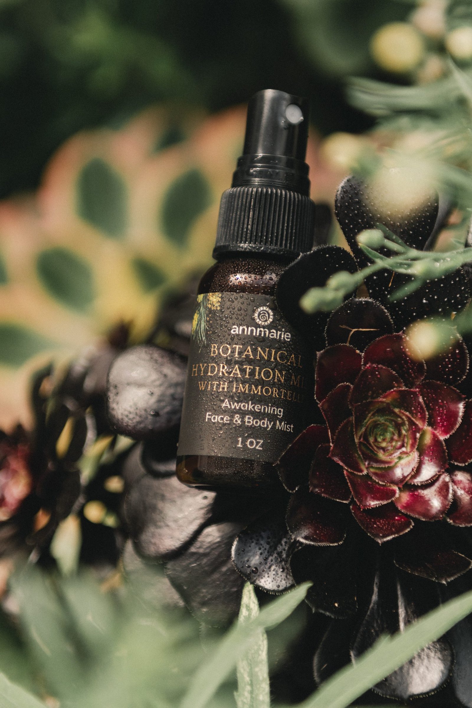 chandra-oh-01M4_XKKSiE-unsplash chandra-oh-01M4_XKKSiE-unsplash