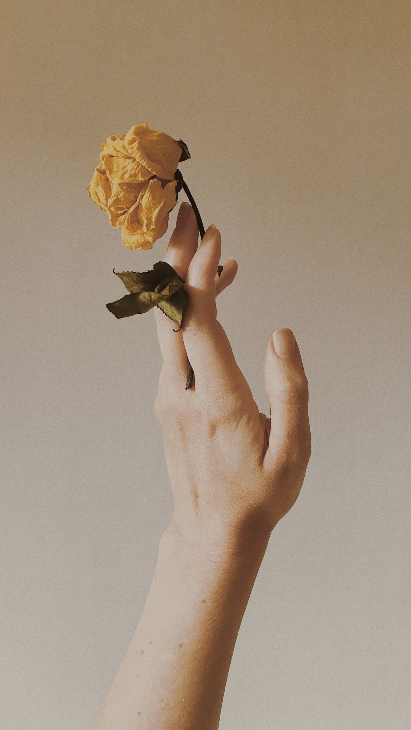 renata-lamezi-3KoGAKxgA3E-unsplash renata-lamezi-3KoGAKxgA3E-unsplash